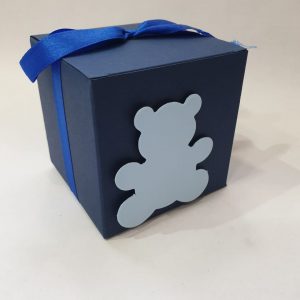 Premium Gift Box with Teddy shape cut out